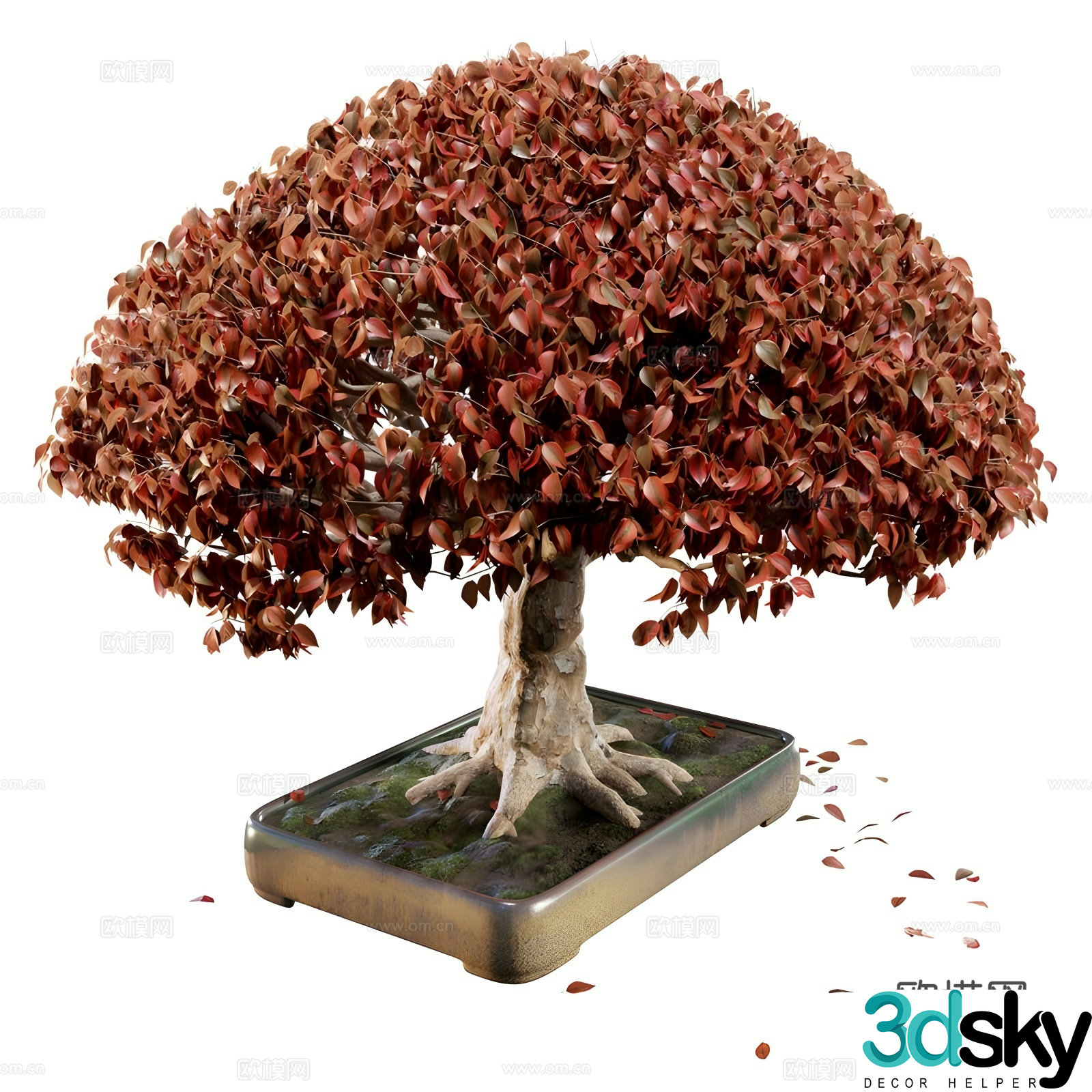 Red potted plant 3d model