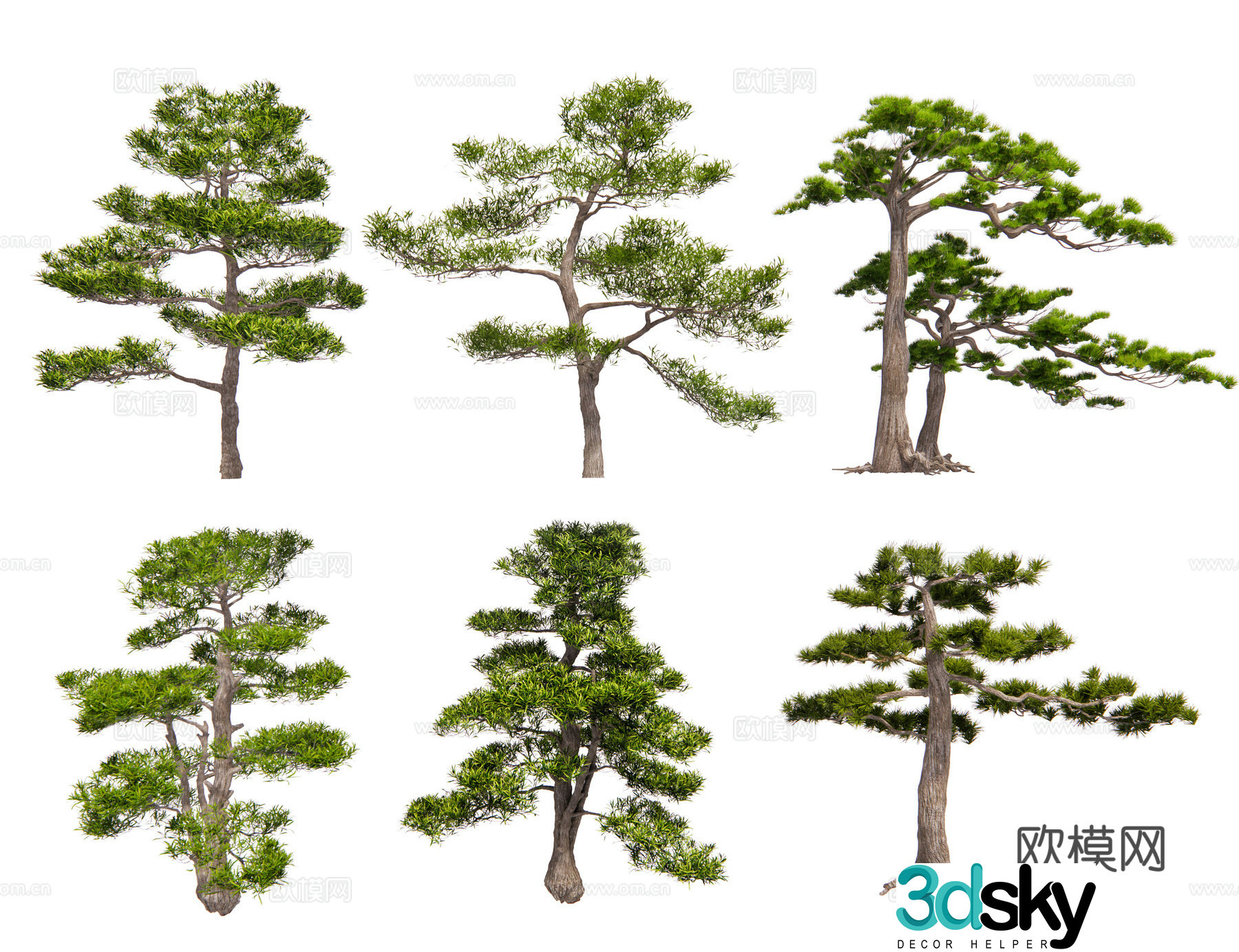 Chinese style pine black pine pine pine pine oil pine welcoming pine pine pine shape tree garden pine 3d model