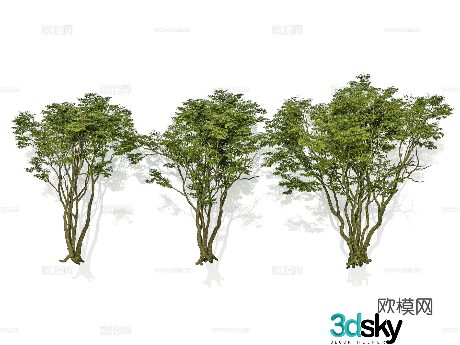 Modern tree Street tree Landscape tree Cluster tree Shrub Garden garden plant group 3D model