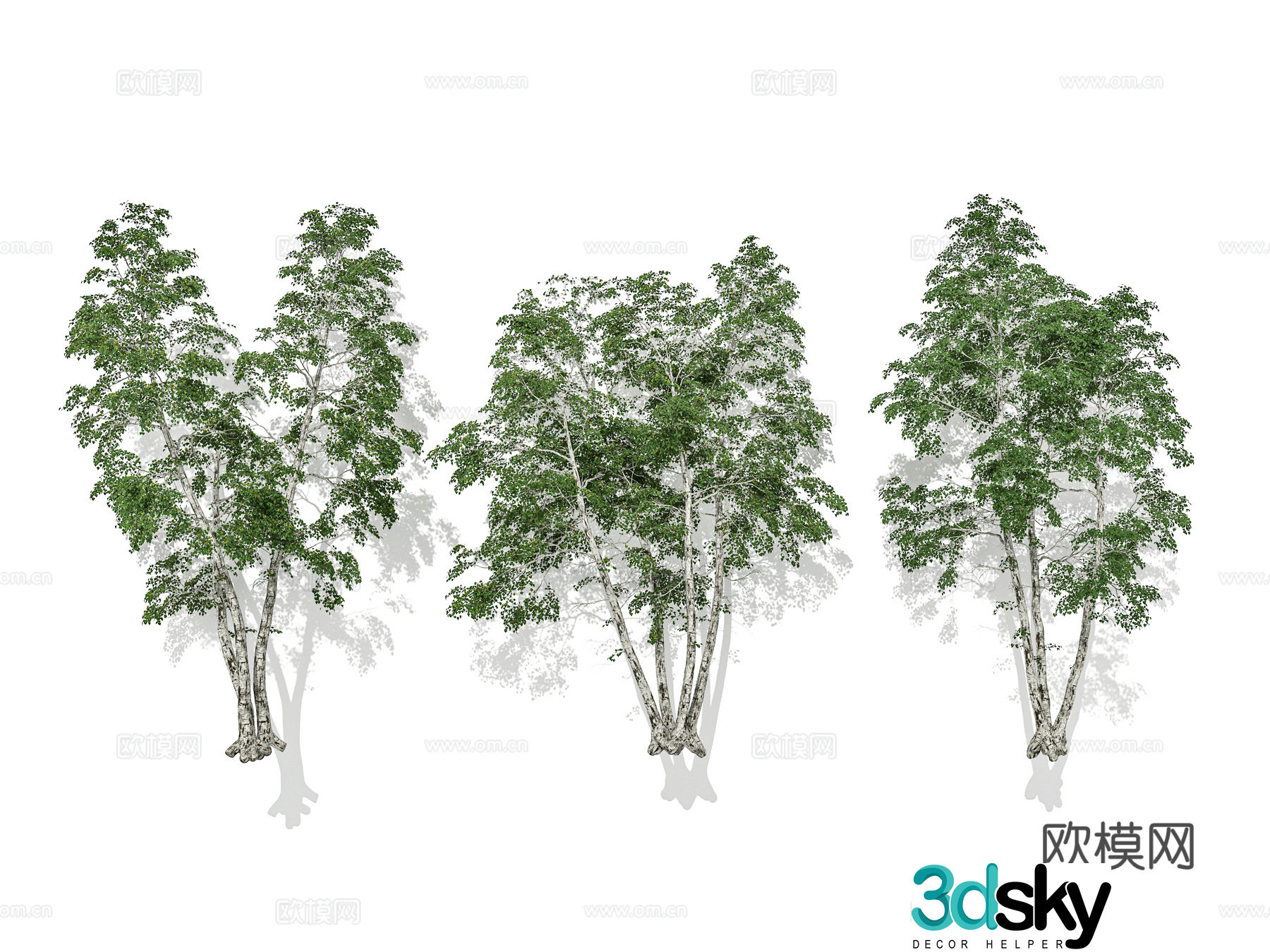 Modern street trees trees clustered trees garden garden plant combination 3D model