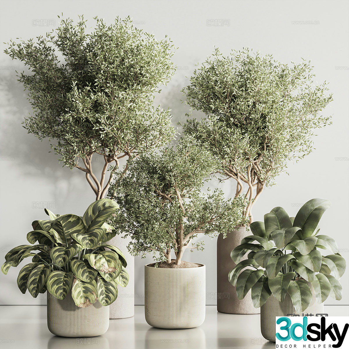 New Chinese green plant bonsai pot 3D model