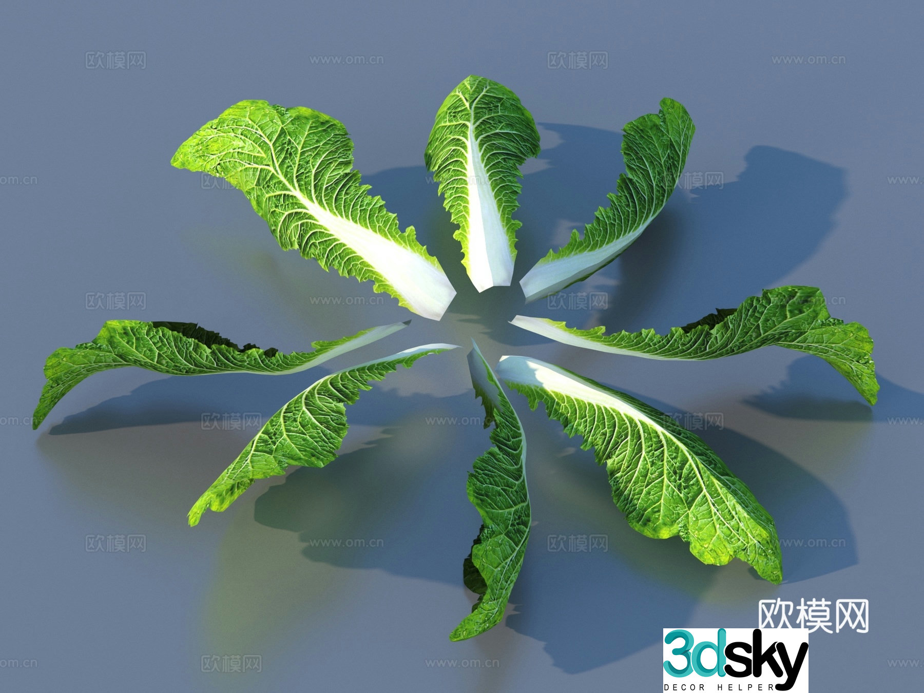 vegetables vegetable leaves cabbage leaves food 3d model