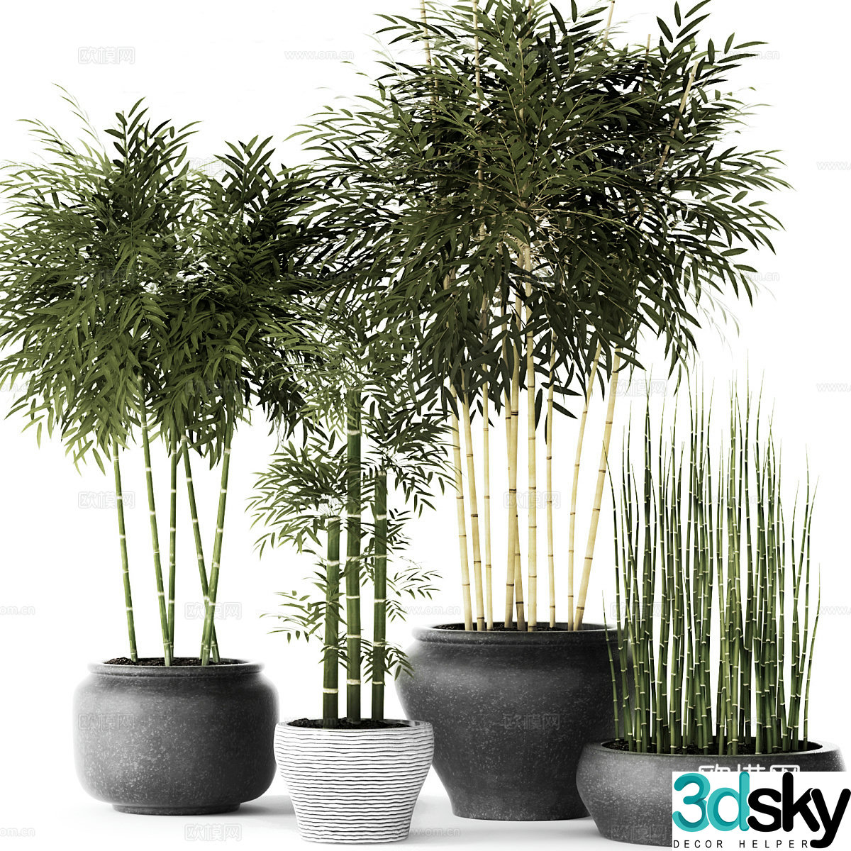 New Chinese style bamboo potted plant 3D model