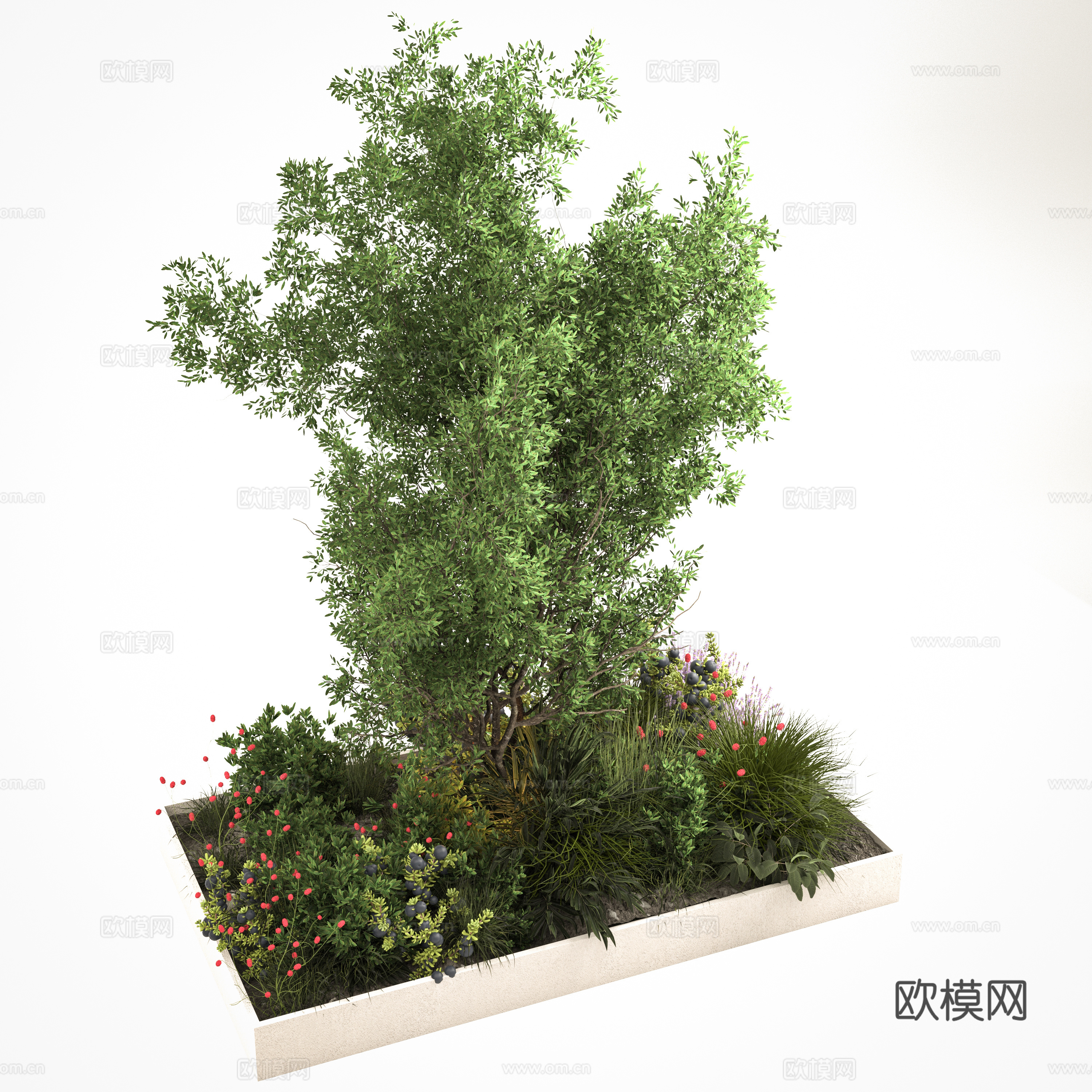 Plants flowers plants trees green plants landscape sketch 3d model