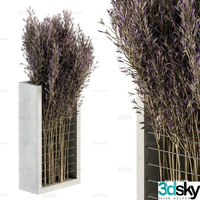 New Chinese style dry branch bonsai 3D model