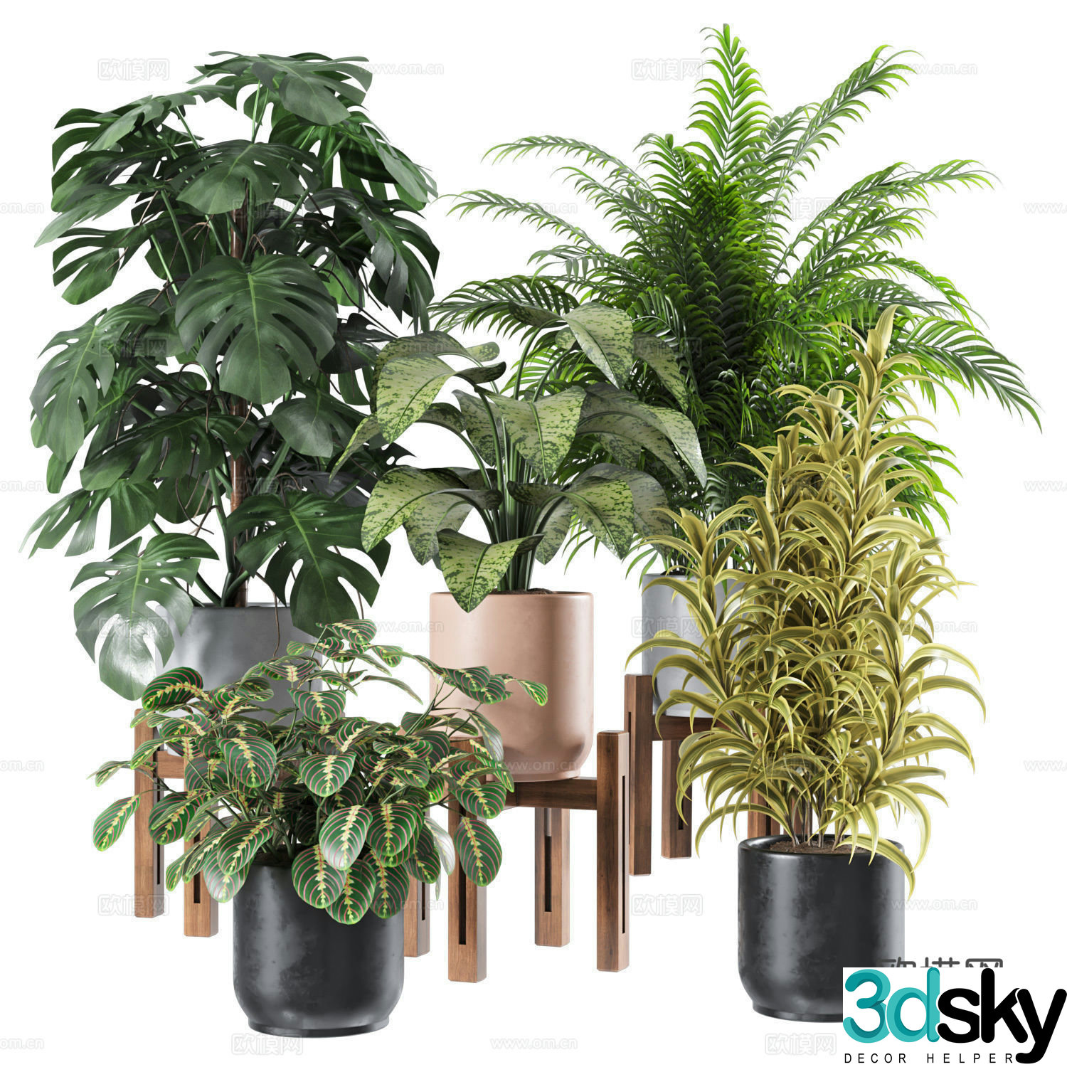 Plant potted 3D model