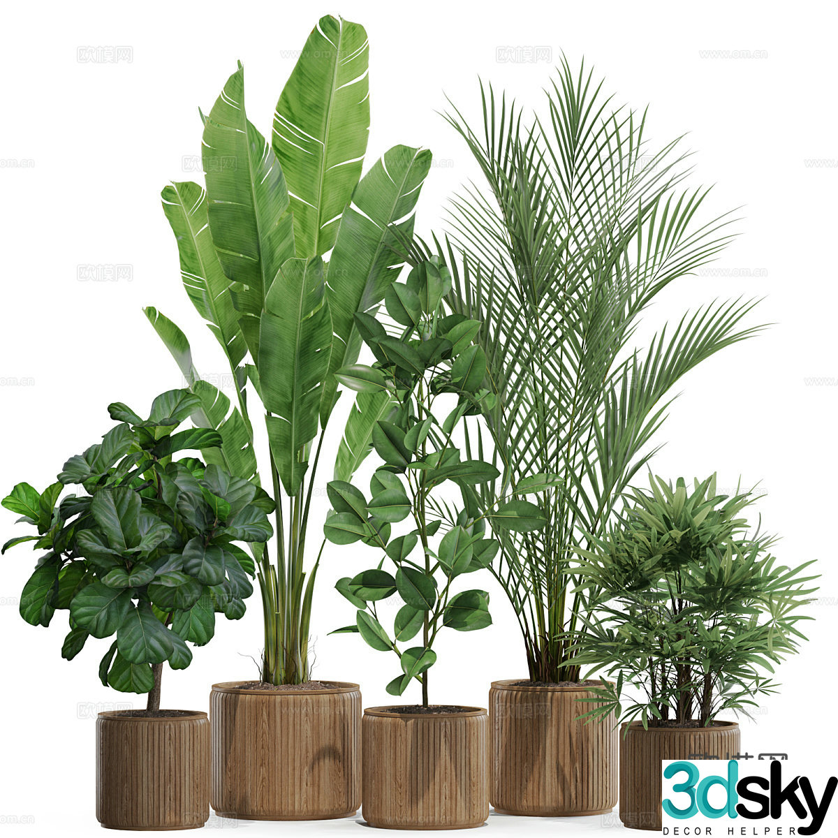 Green plant potted 3D model