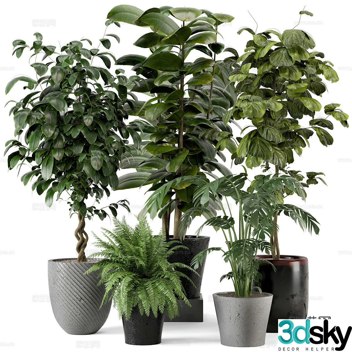 Green plant potted 3D model