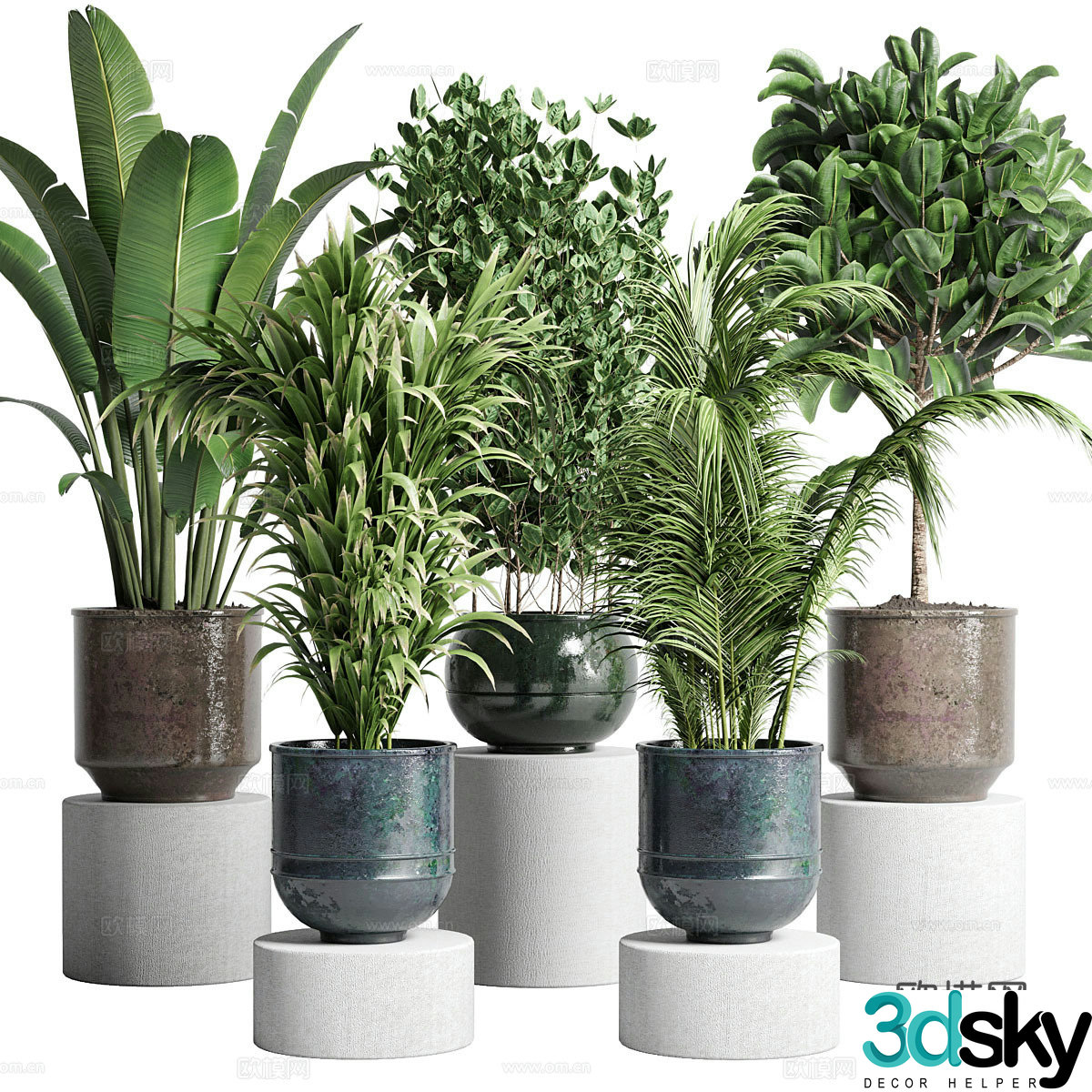 Green plant potted 3D model