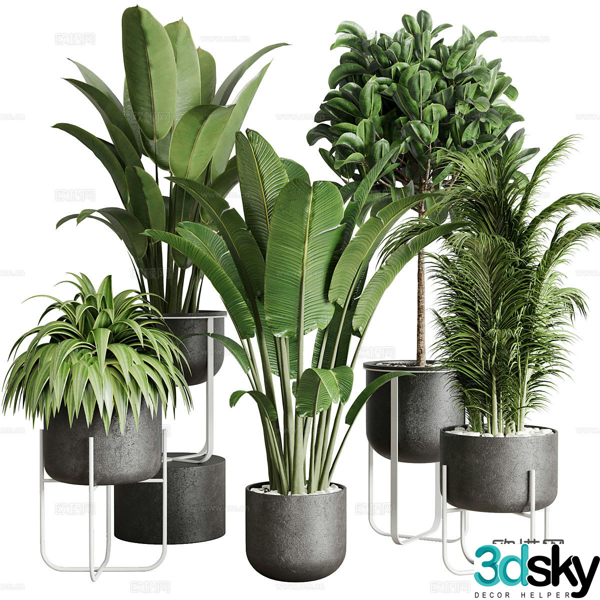 Green plant potted 3D model