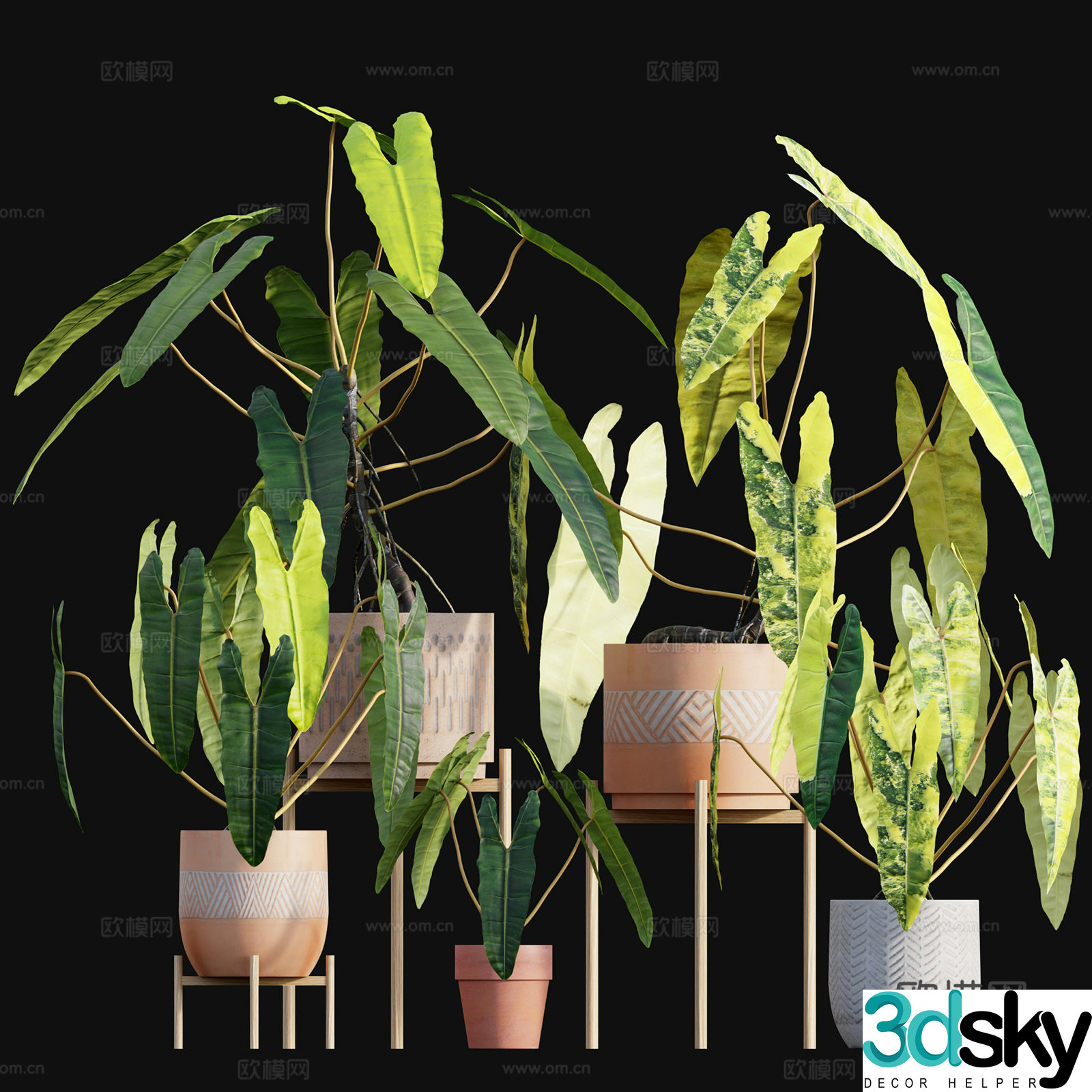 Green plant potted 3D model