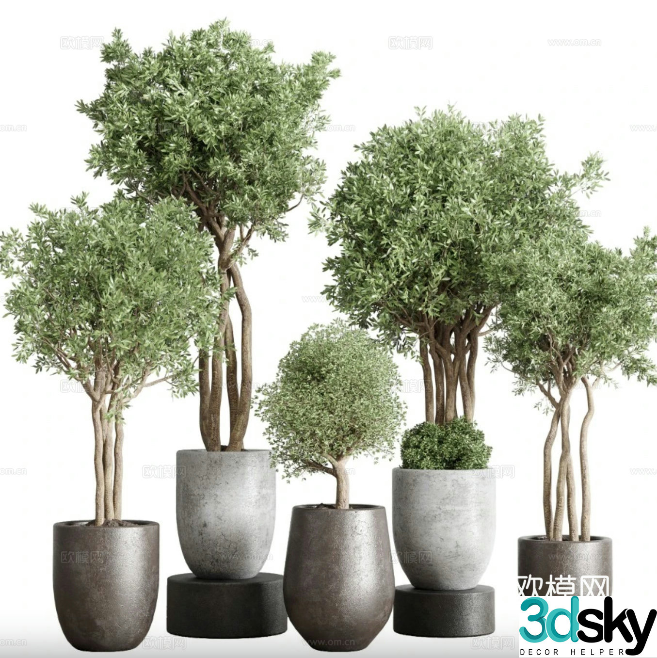 Green plant potted 3D model