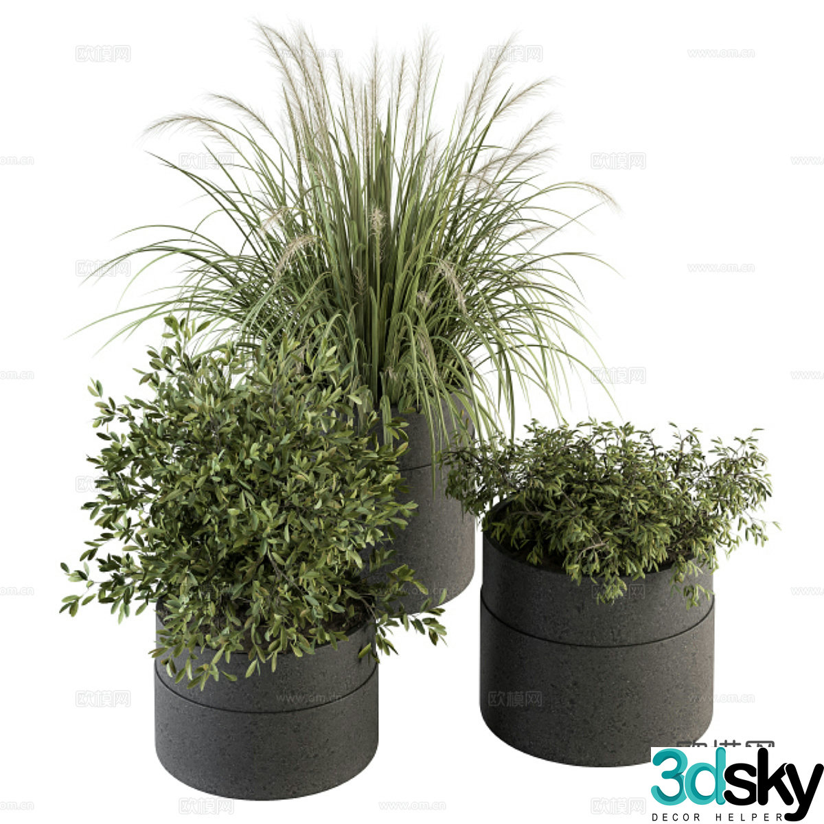 Green plant potted 3D model