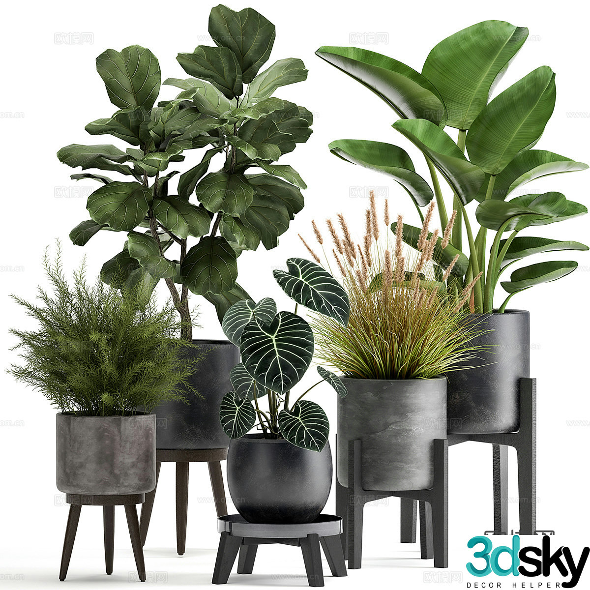 Plant potted 3D model