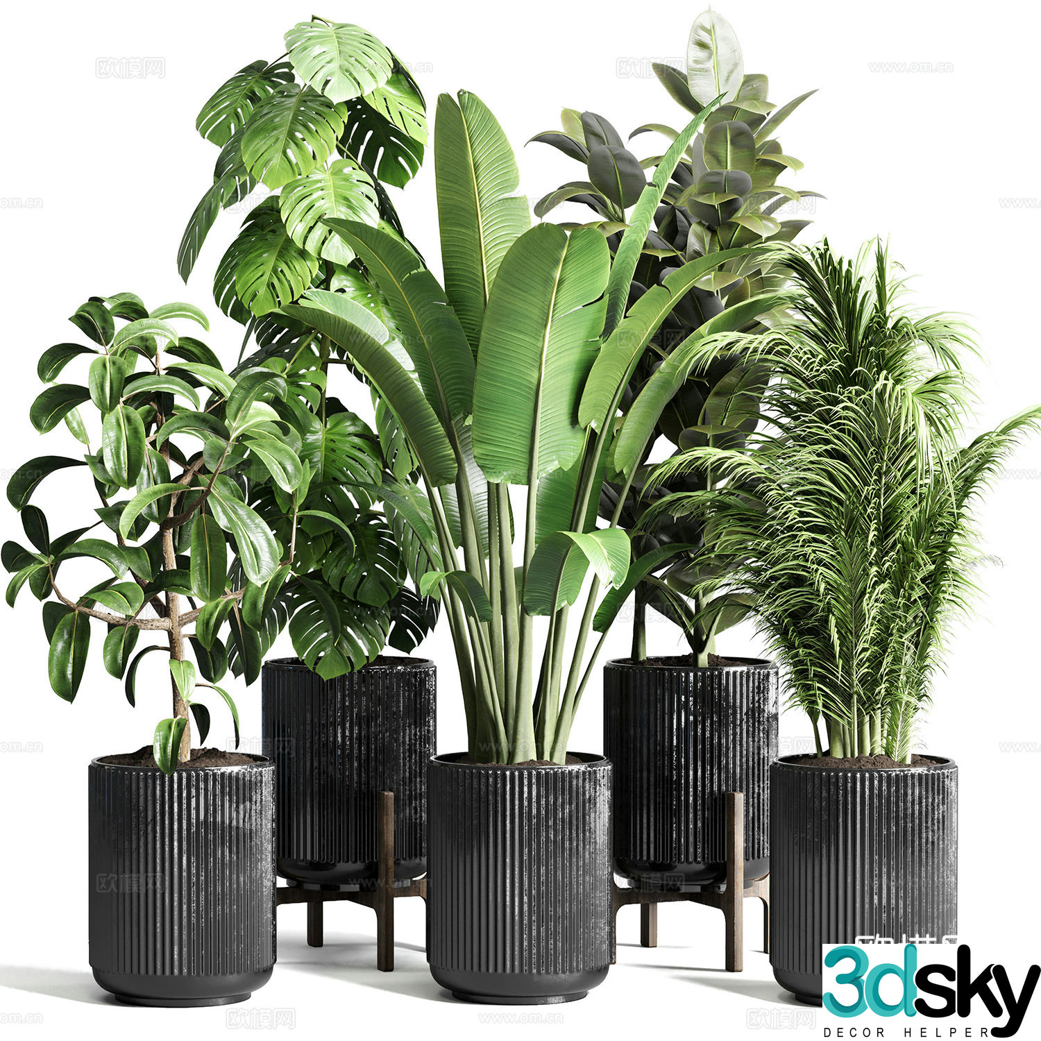 Green plant potted 3D model