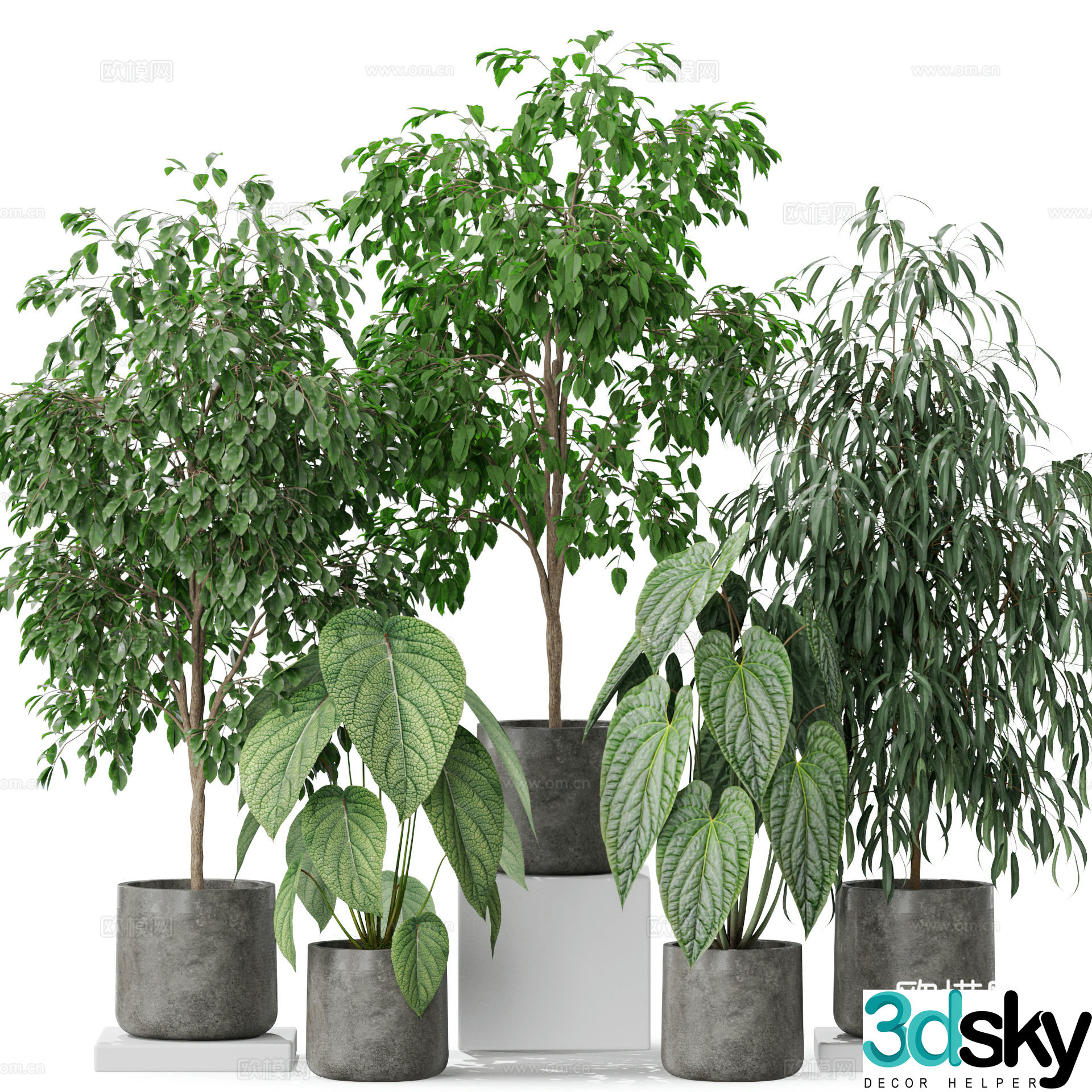 Green plant potted 3D model