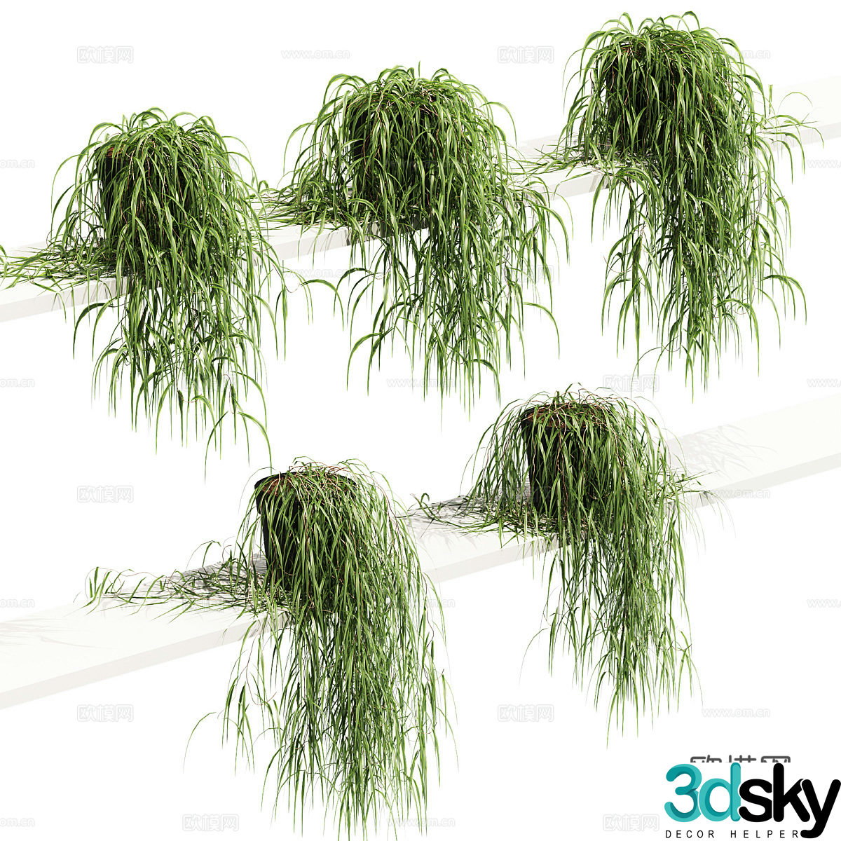 3D model of potted plants hanging on shelf
