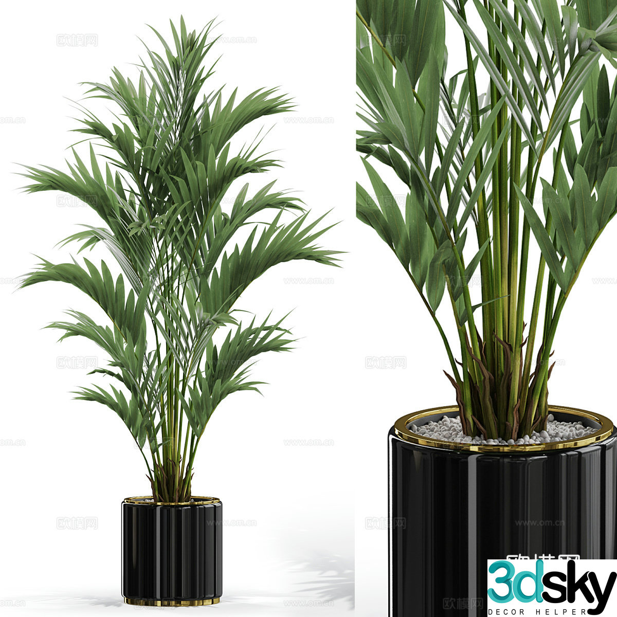 Green plant potted 3D model
