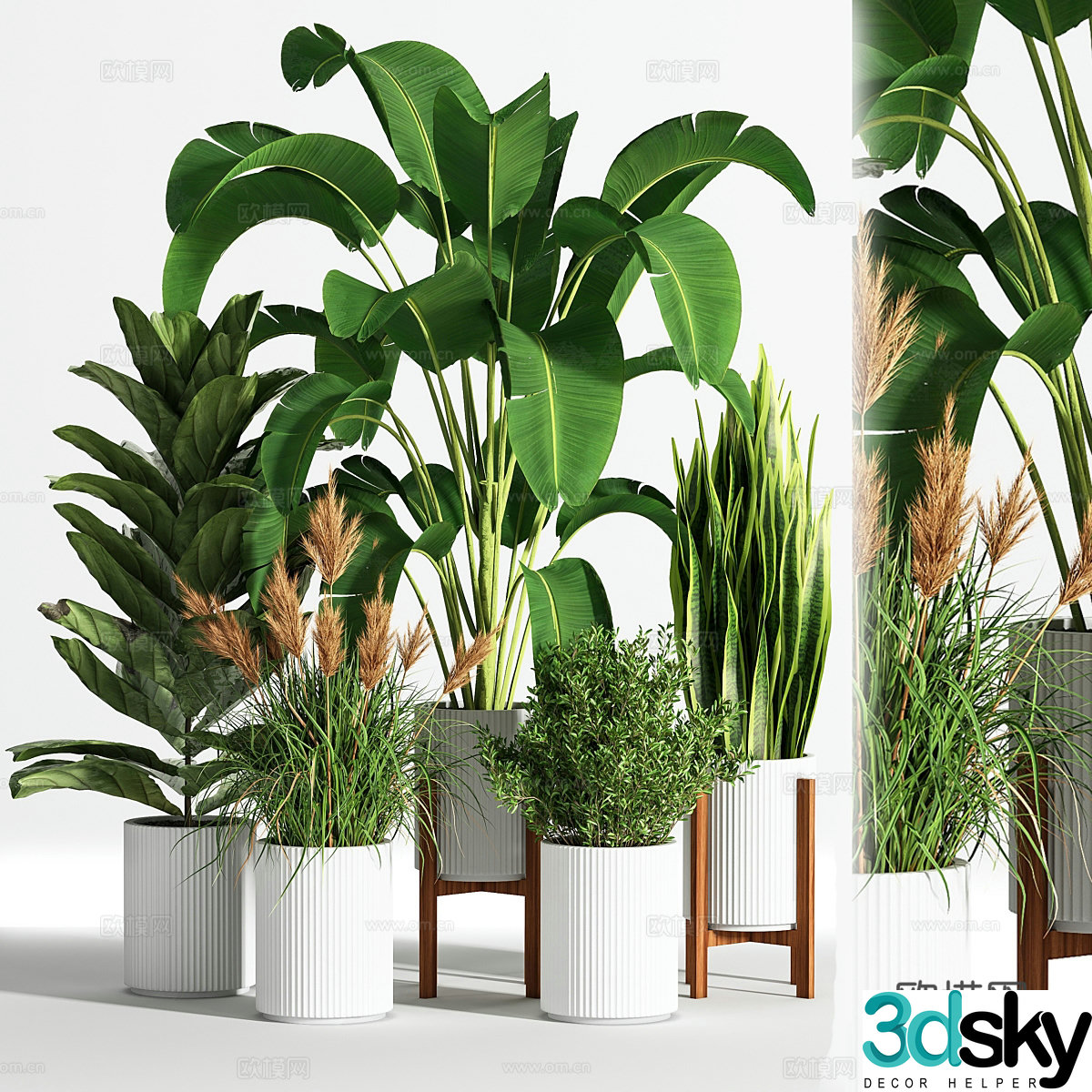Green plant potted 3D model