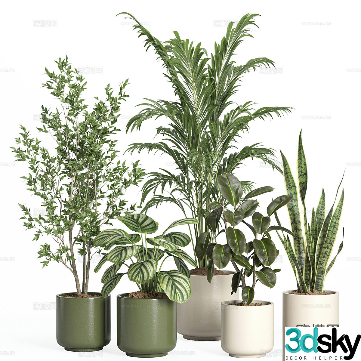 Modern green plant potted 3D model