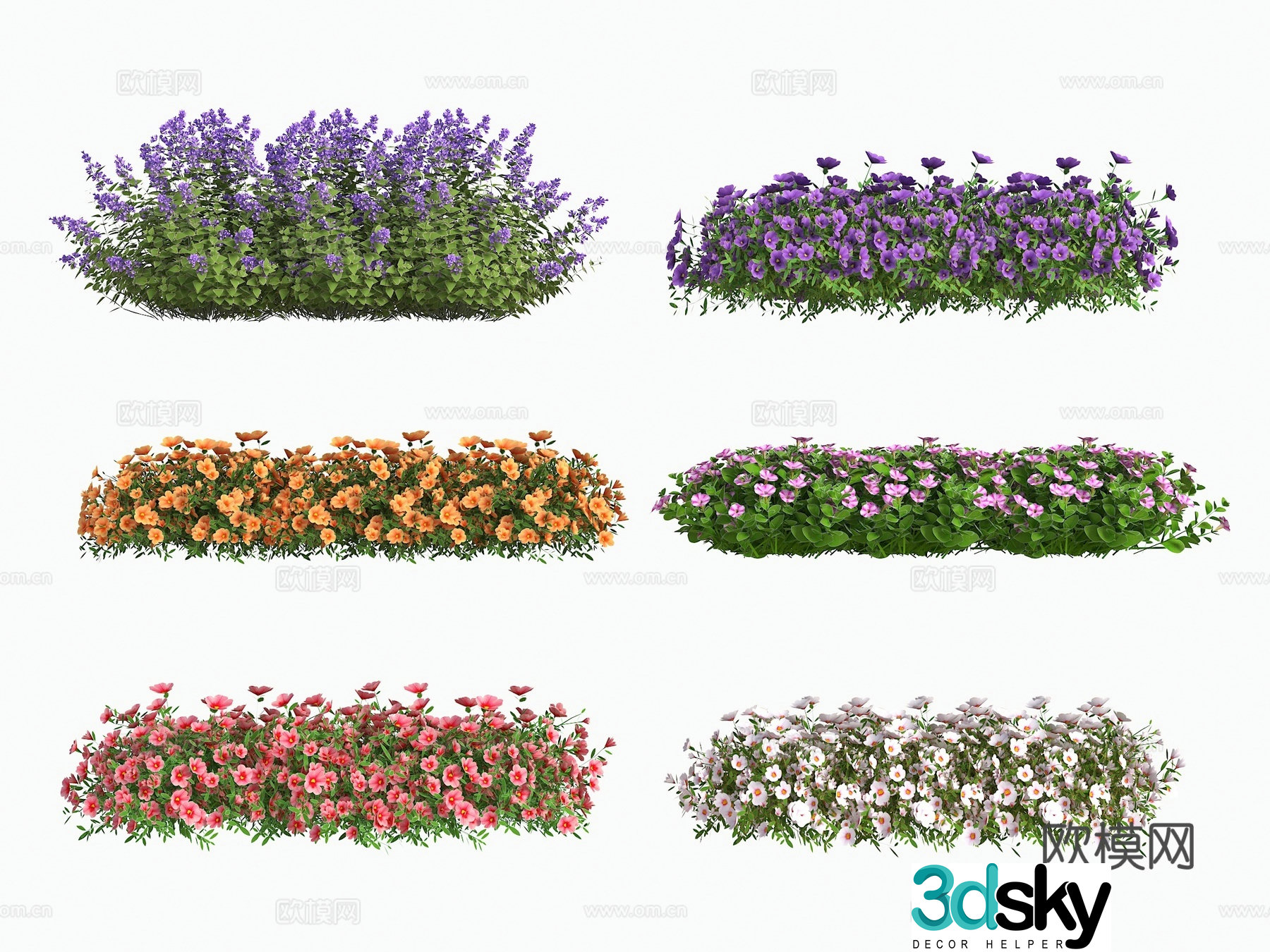 Flowers flowers plants outdoor plants landscape flowers lavender shrubs hedges plants green landscape 3d model