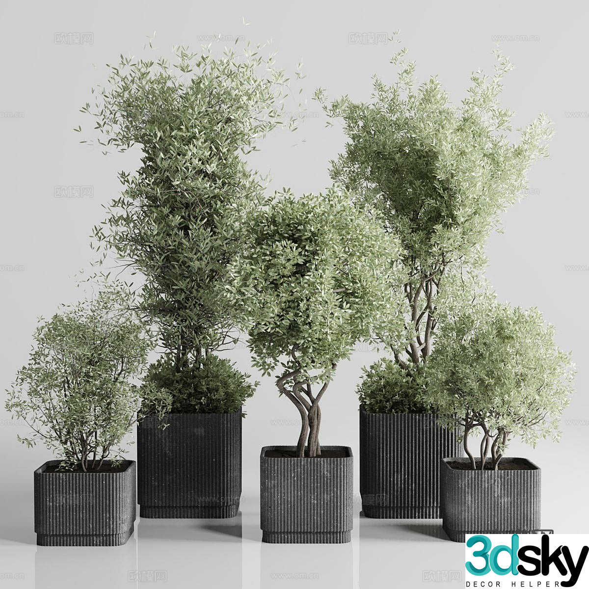 New Chinese green plant bonsai pot 3D model