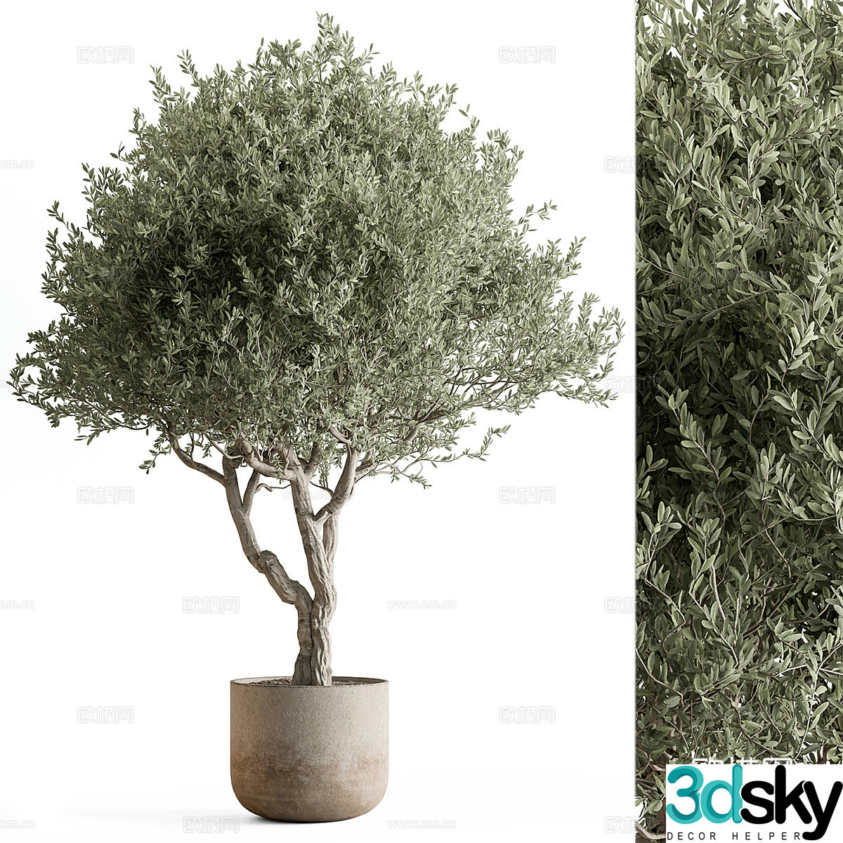 New Chinese green plant potted 3D model