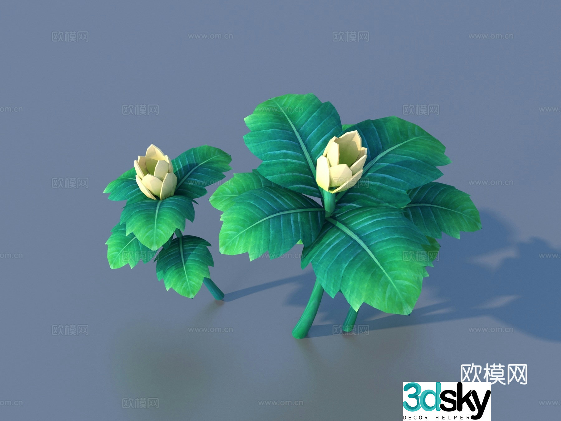 Cartoon Plants Shrub Flowers and Plants 3d Model