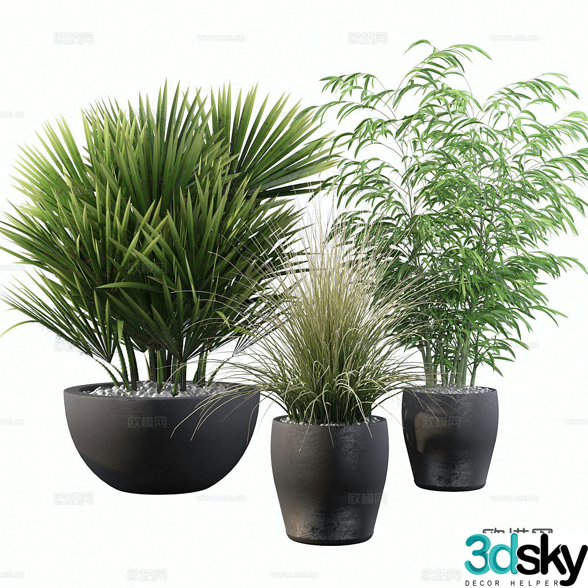 New Chinese green plant potted 3D model