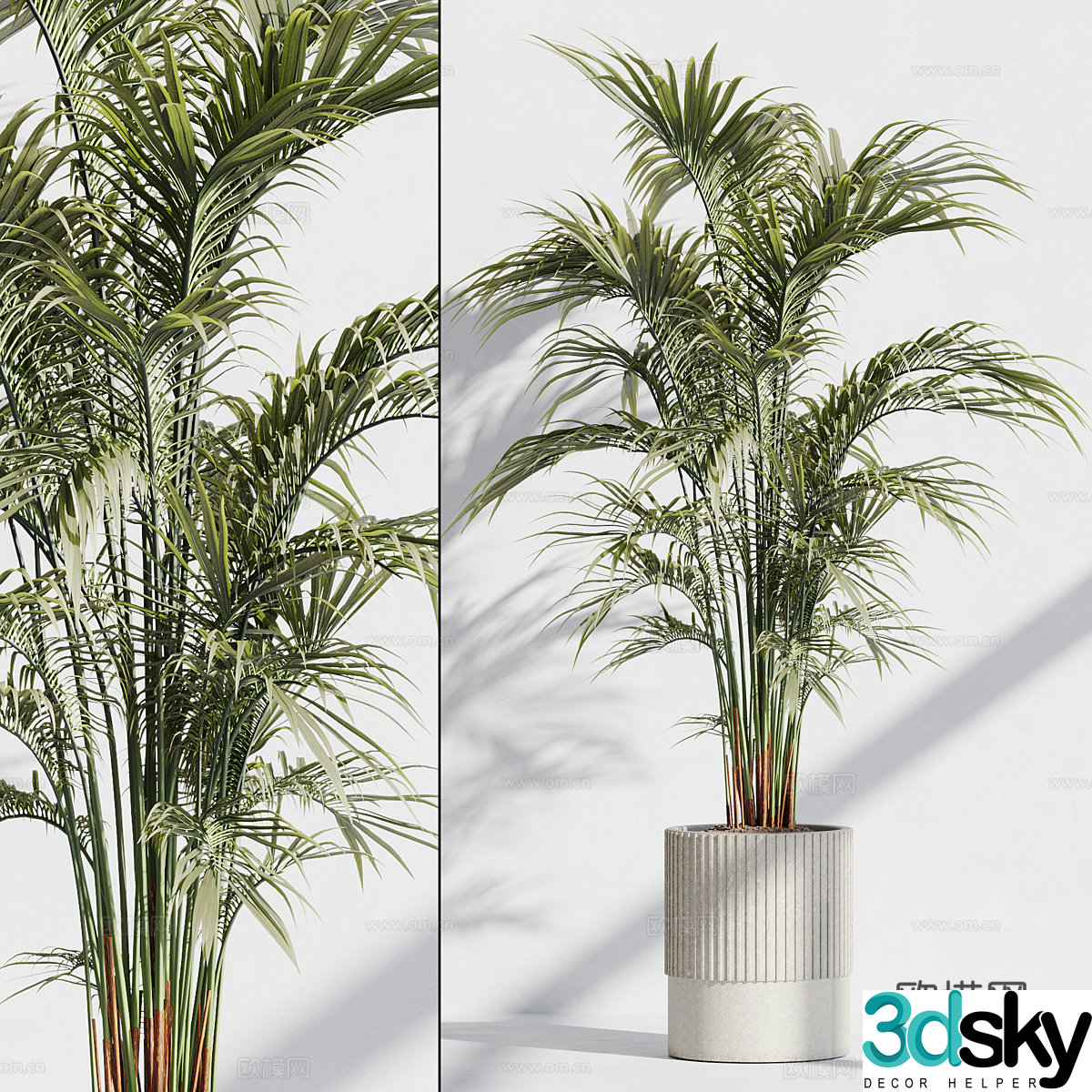 Modern green plant potted plant 3D model of scattered tail sunflower
