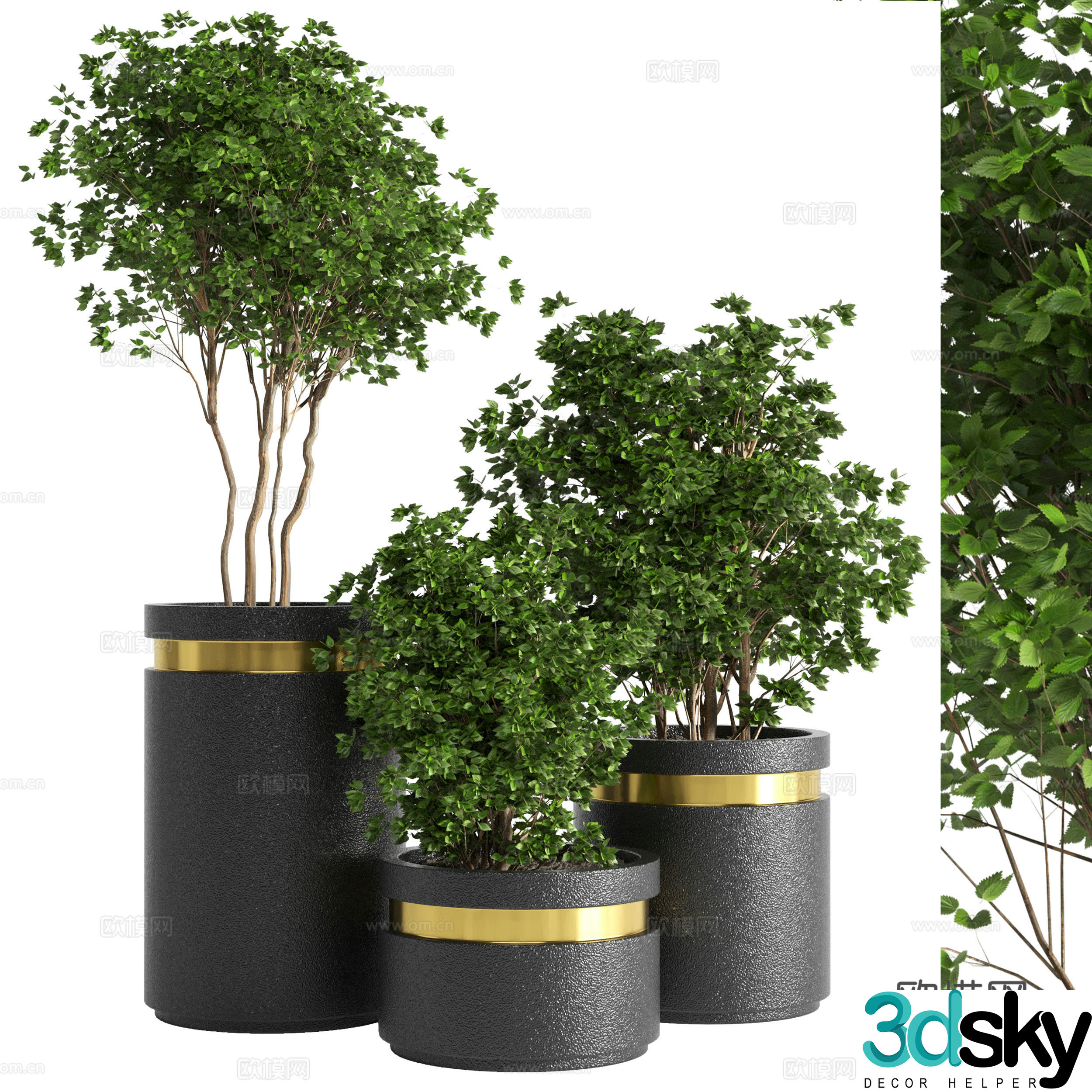 New Chinese green plant potted 3D model