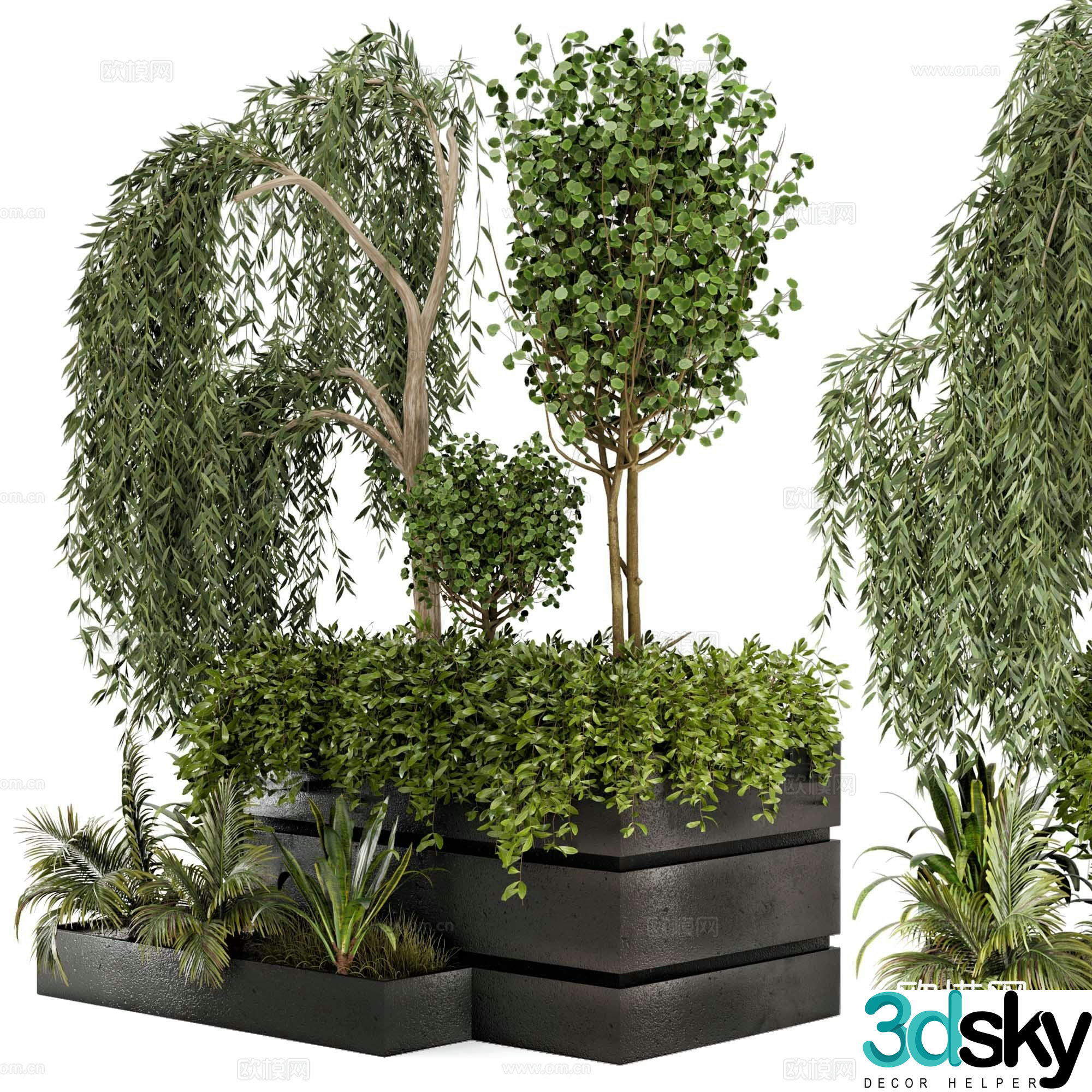 Modern shrub pot plant 3d model