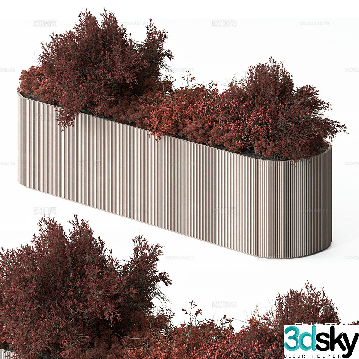 Plant box shrub 3d model