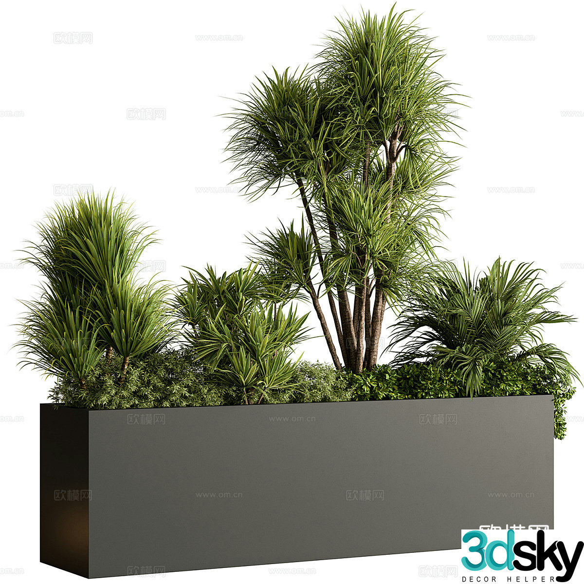 Plant box potted 3d model