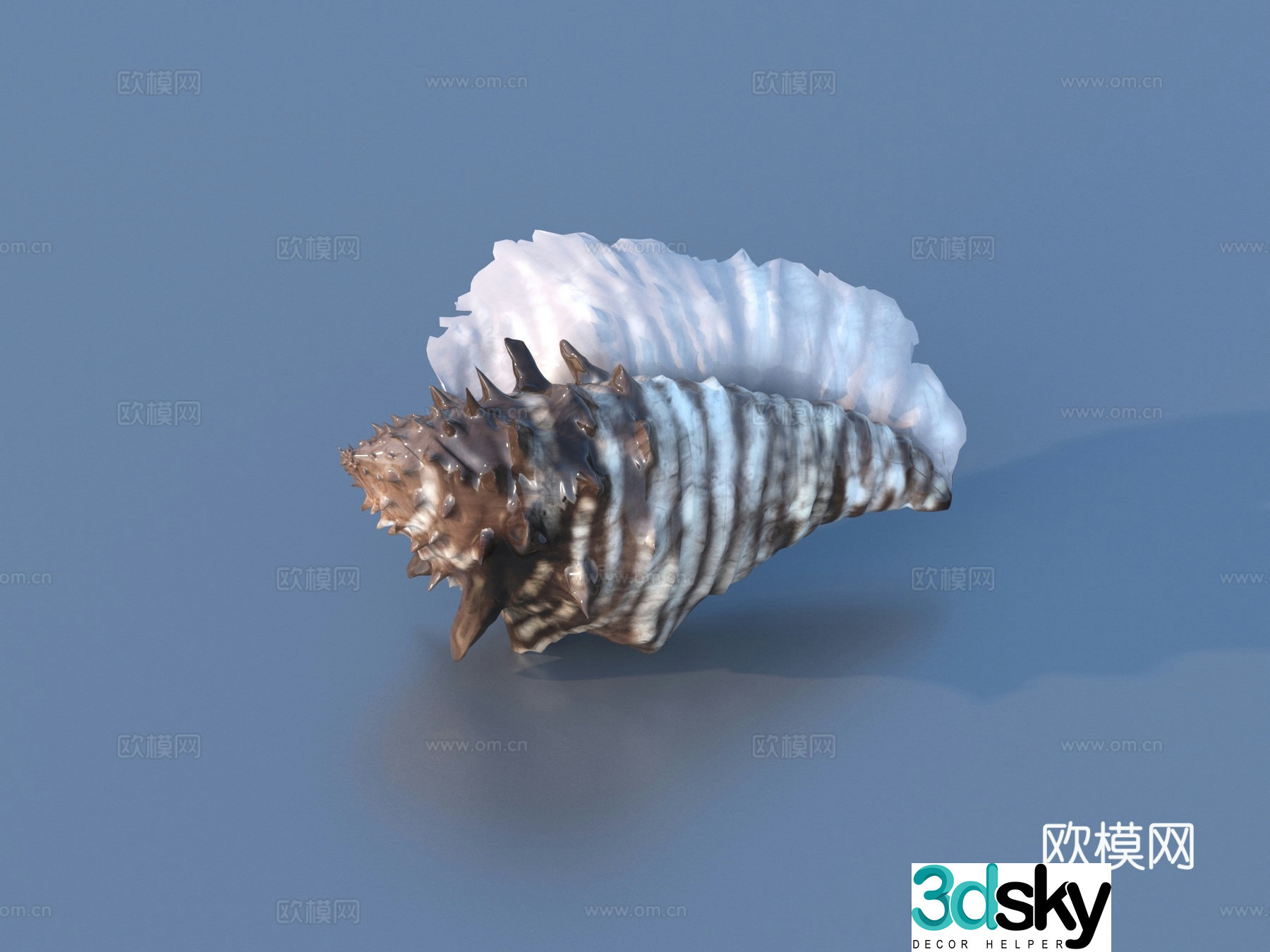 Conch Nautilus Shell Seashell 3D Model