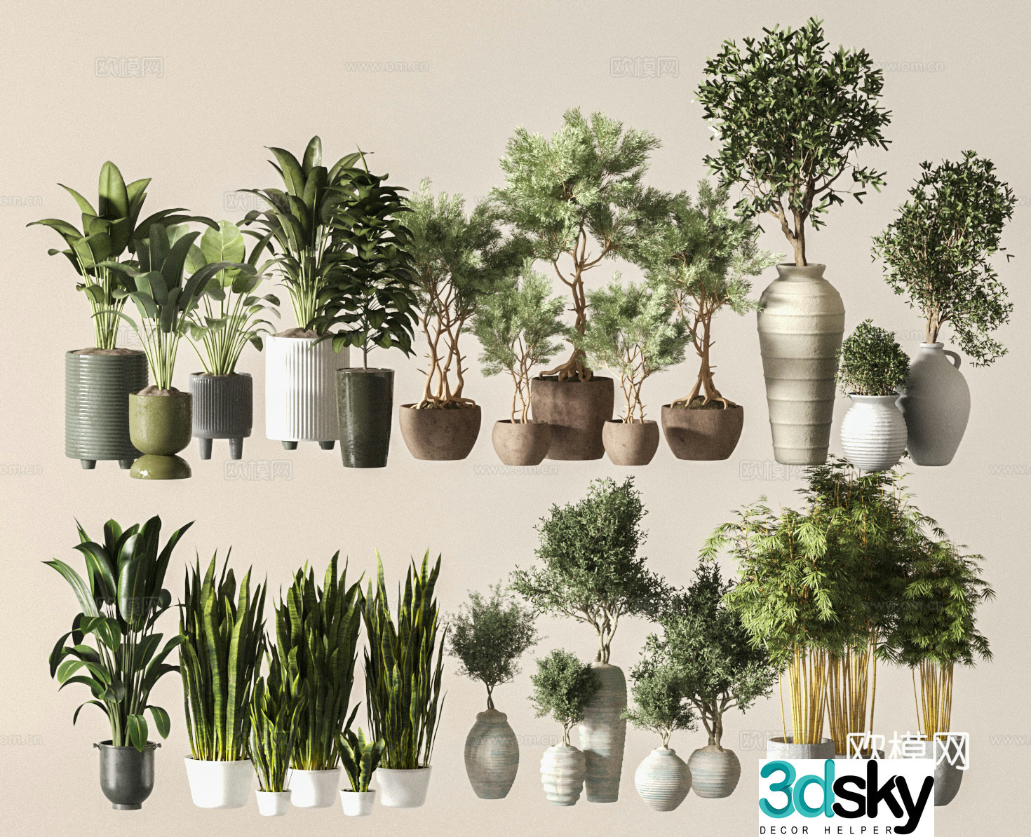 Modern potted plants 3d model