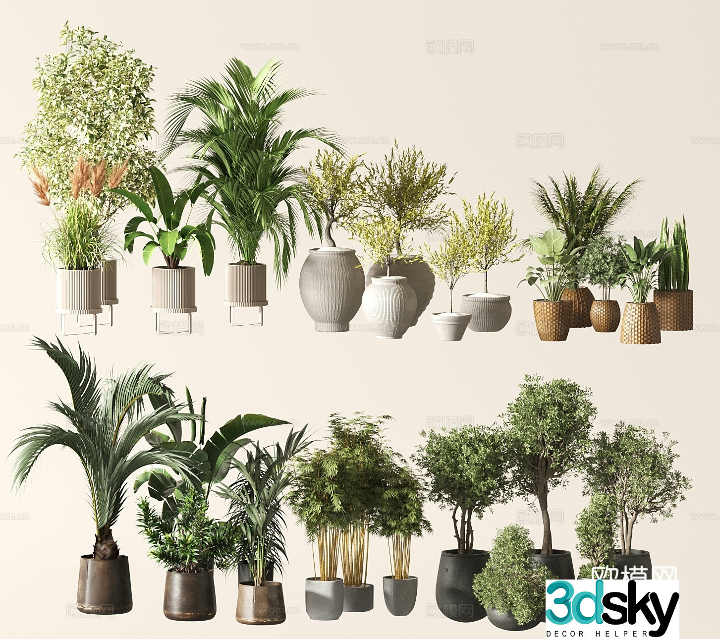 Modern potted plants 3d model