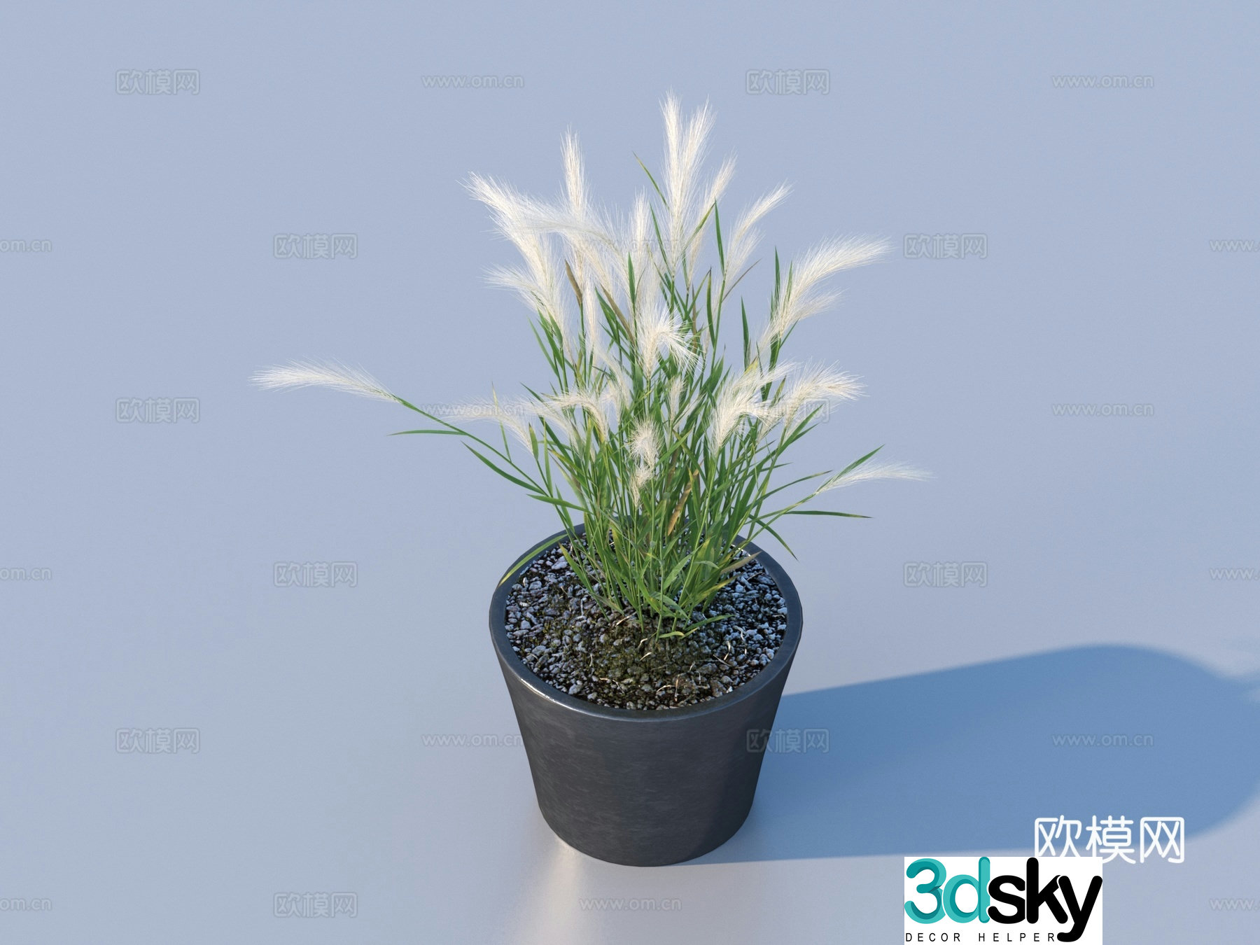 Flower pot pot green plants plant 3d model