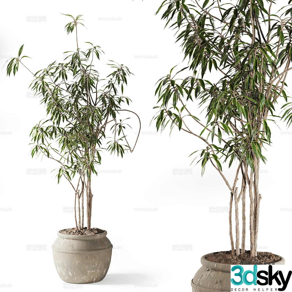 New Chinese style wabi sabi pot plant 3D model