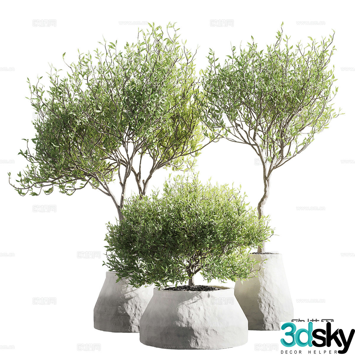 New Chinese green plant potted 3D model