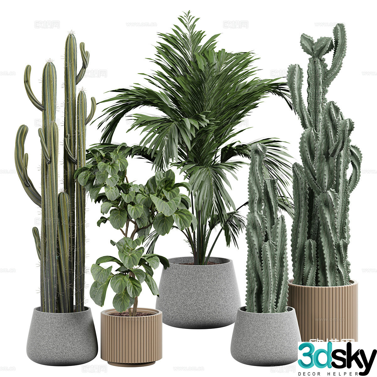 Modern Cactus Green Plant Pot Plant 3D Model
