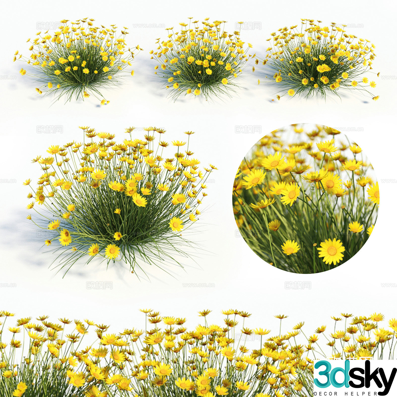 Yellow flowers and plants 3d model