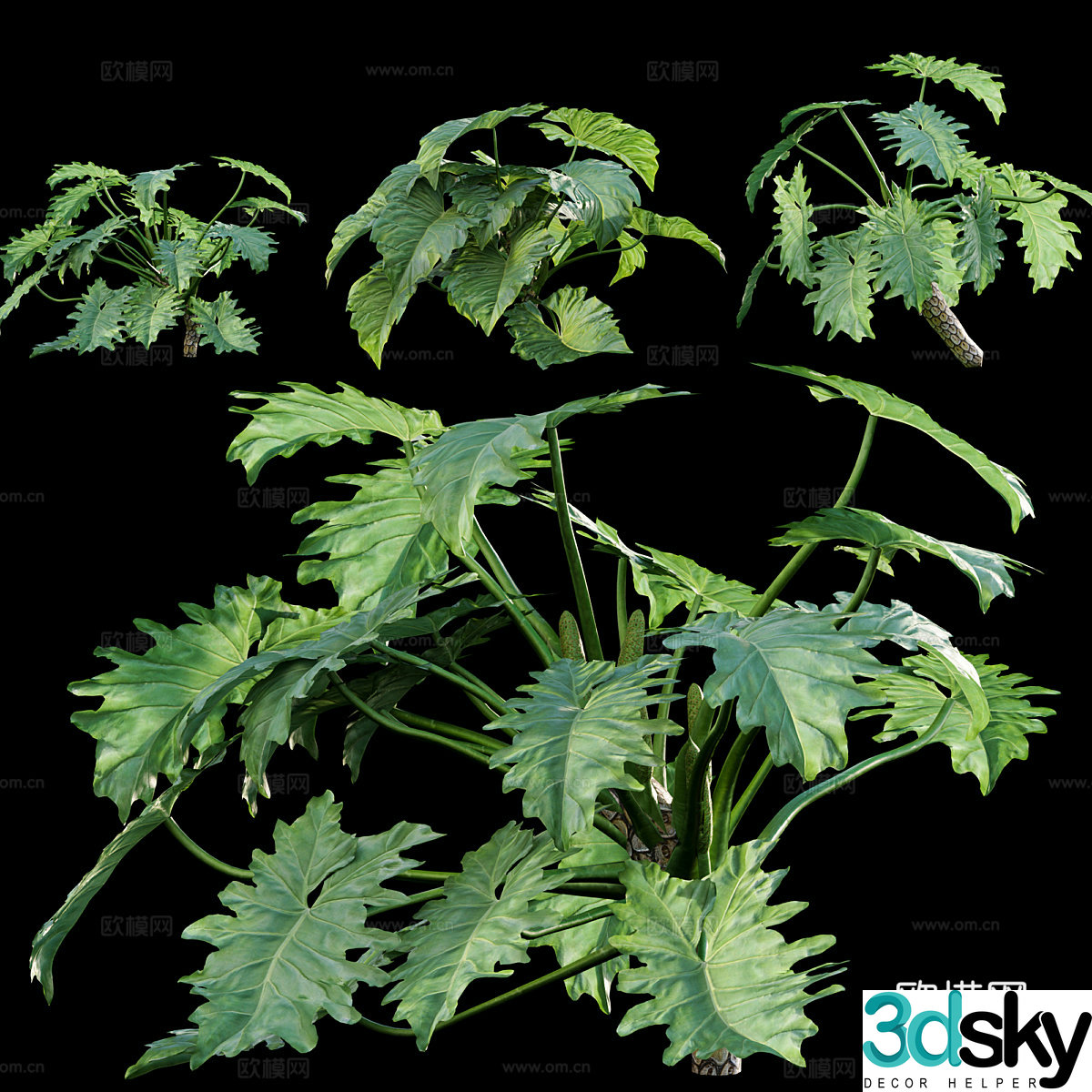 Bryoplant 3d model