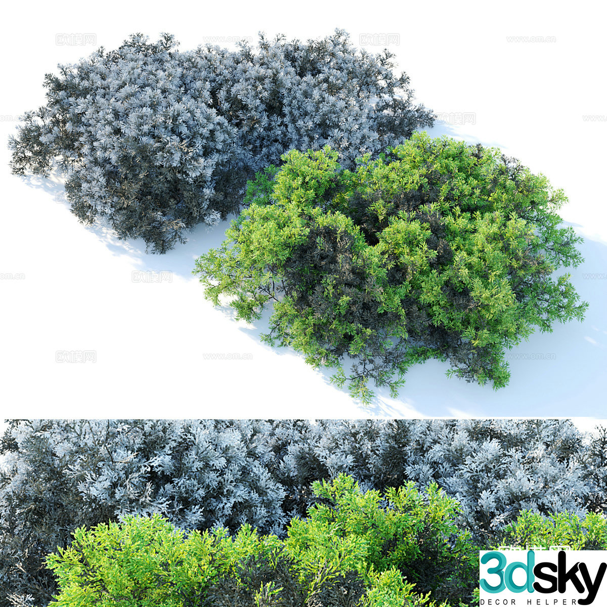 Two green plants 3D model