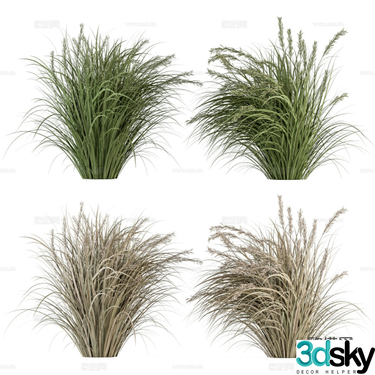 Hay green grass 3d model