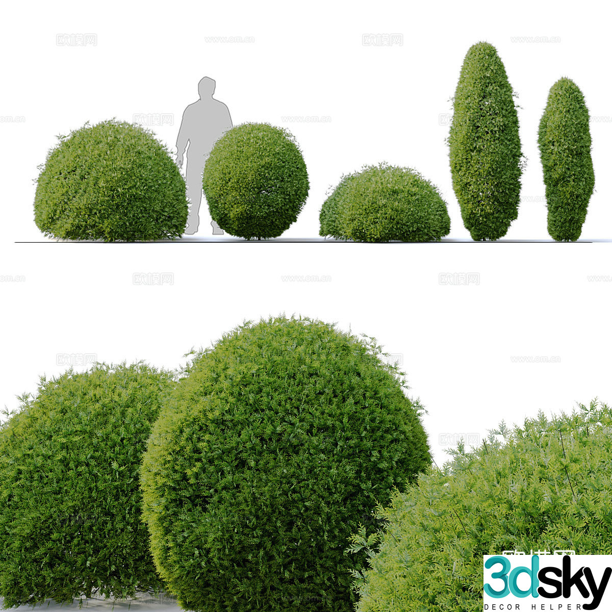 Arboretum 3d model