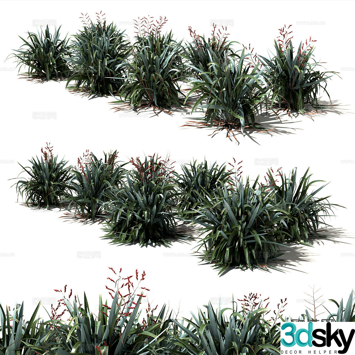 Flax plant 3d model