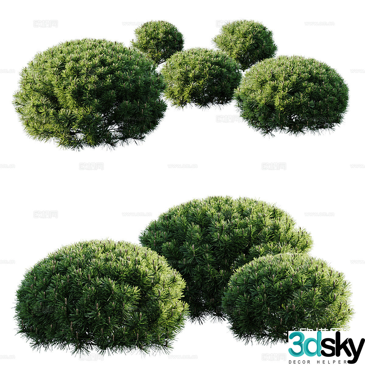 Tree 3D Model