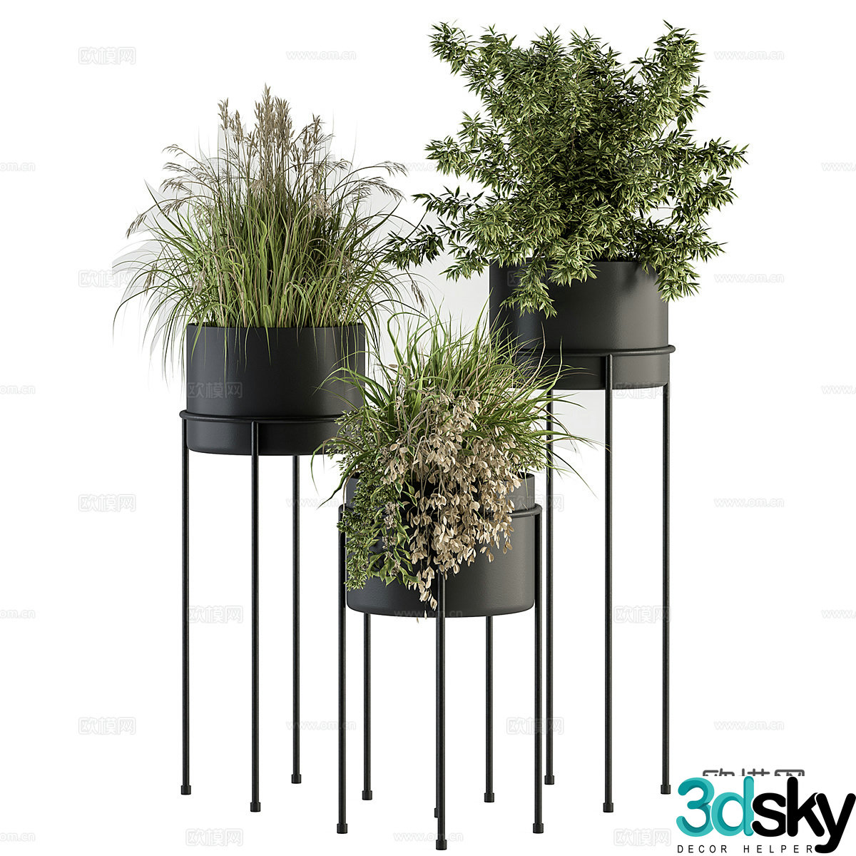 3D model of indoor potted plants