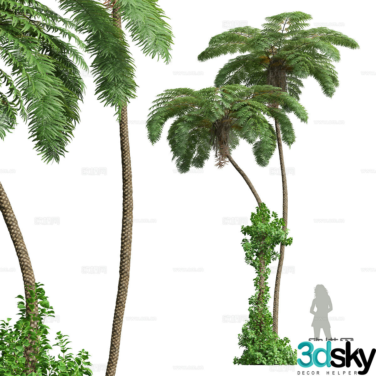 Tree 3D Model